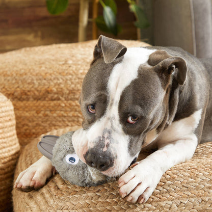 BARK Hare Raiser Rabbit Rubber Super Chewer Dog Toy Grey Med - Performance Dog Supply