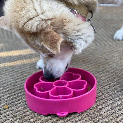 Flower Design Enrichment Slow Feeder Bowl - Performance Dog Supply