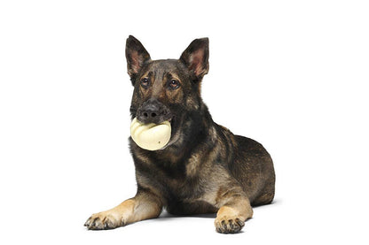 BARK Tinkles The Gerbil - Performance Dog Supply