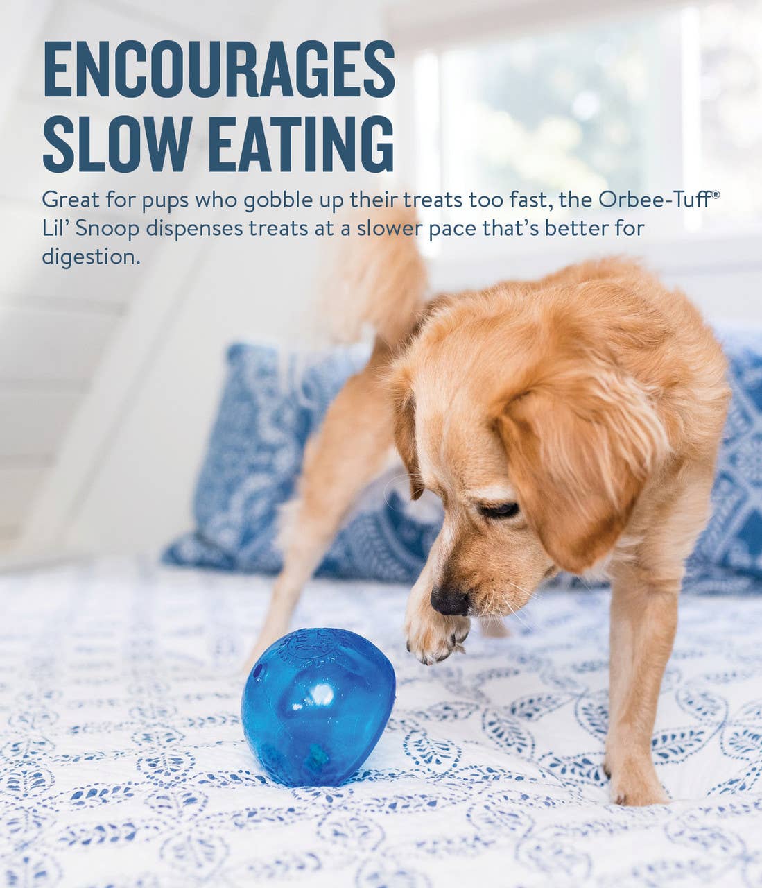 Planet Dog Orbee-Tuff Lil Snoop Treat-Dispensing Toy