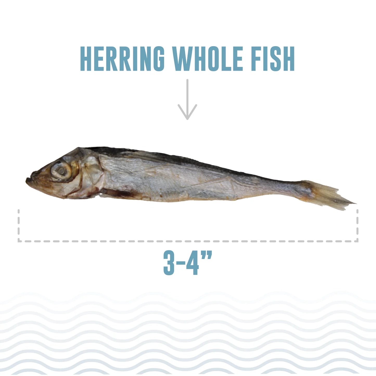 Icelandic+ Dog Treat Herring Whole