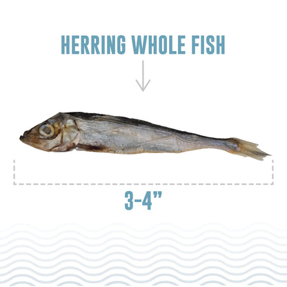 Icelandic+ Dog Treat Herring Whole