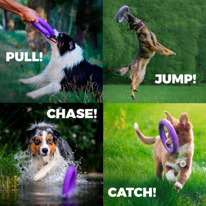 Puller - Agility Training Fetch Ring - Performance Dog Supply