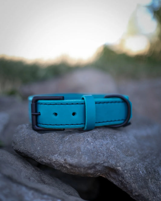 TGR 1.5" Teal Leather Collar