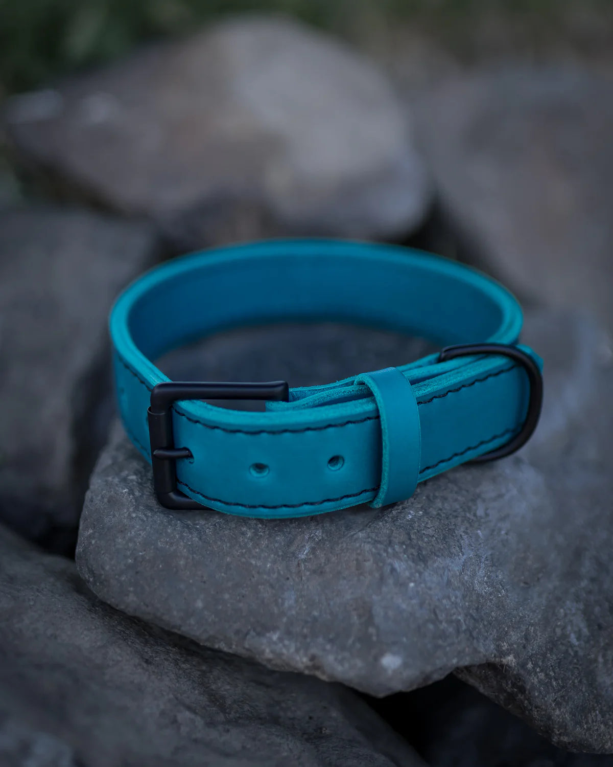 TGR 1.5" Teal Leather Collar