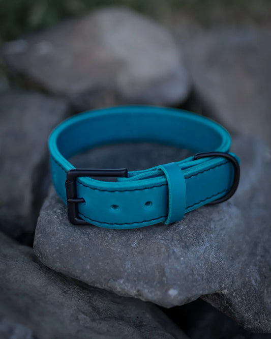 TGR 1.5" Teal Leather Collar