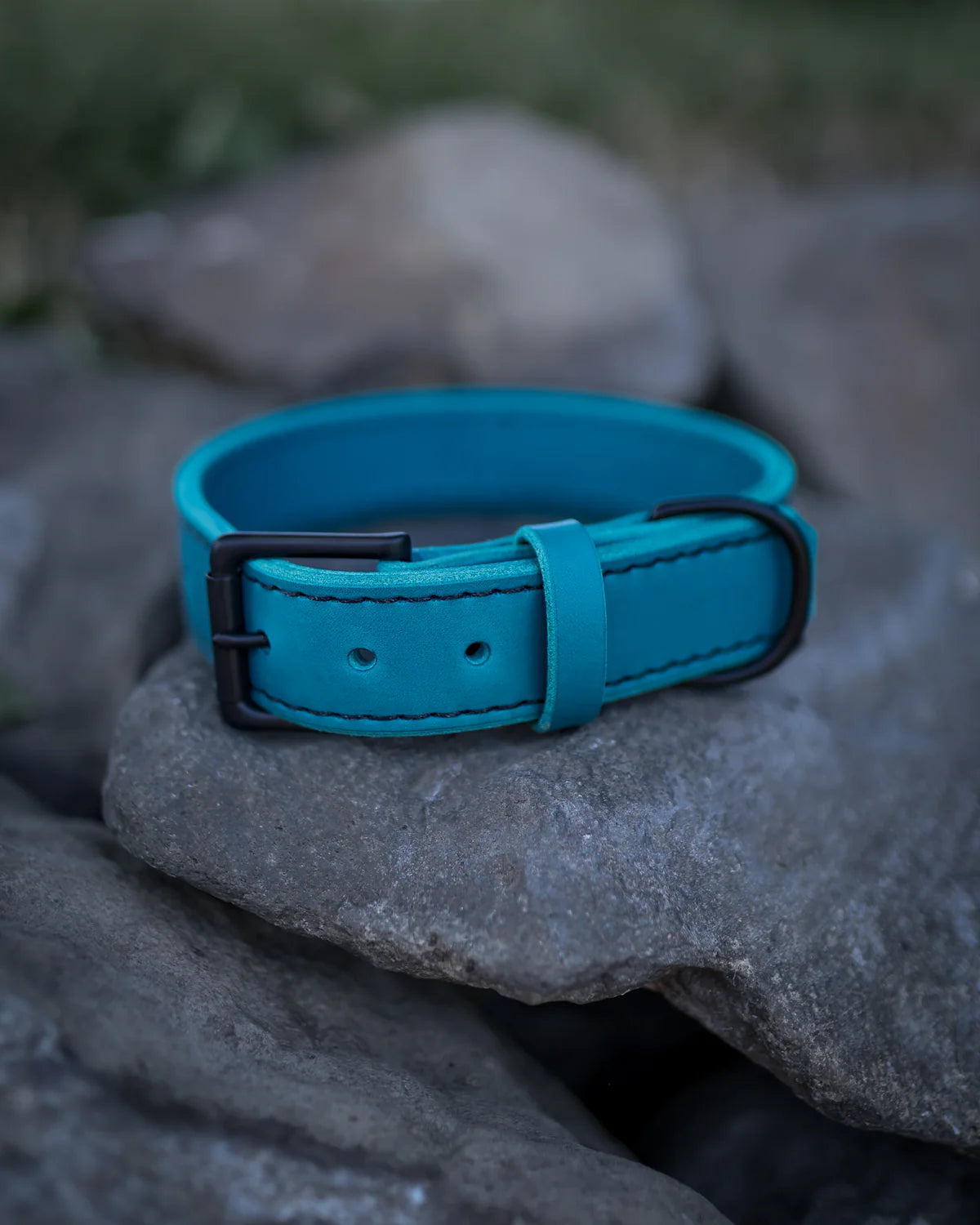 TGR 1.5" Teal Leather Collar