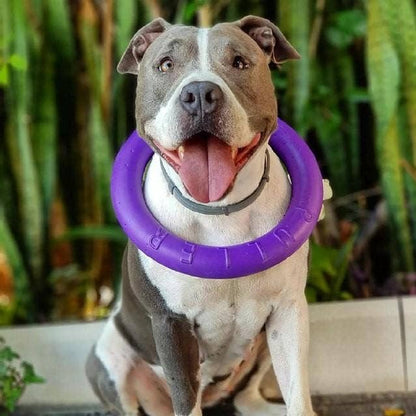 Puller - Agility Training Fetch Ring - Performance Dog Supply