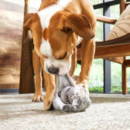 BARK Hare Raiser Rabbit Rubber Super Chewer Dog Toy Grey Med - Performance Dog Supply