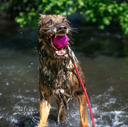 Denali Tug Toy - Mystery Tug