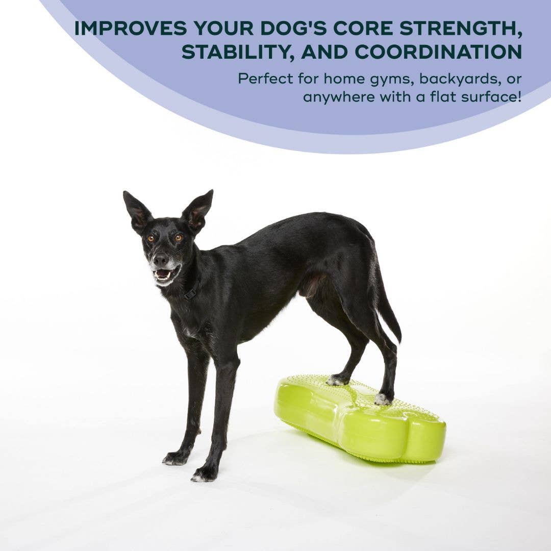 FitPAWS - Regular K9FITbone Dog Balance Training Platform