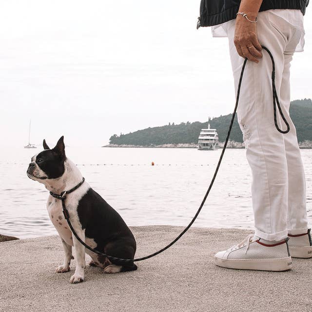 Ezydog Luca Slip Leash