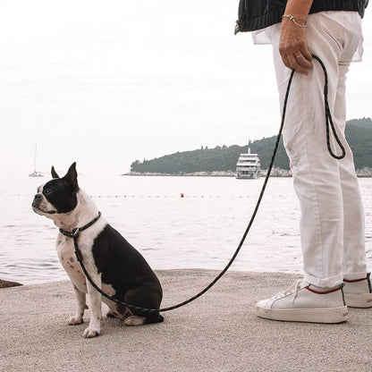 Ezydog Luca Slip Leash