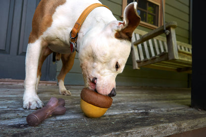 BARK Super Chewer Acornucopia Dog Toy Large - Performance Dog Supply