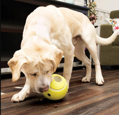 KONG® Rewards Tennis Dog Enrichment Toy Large