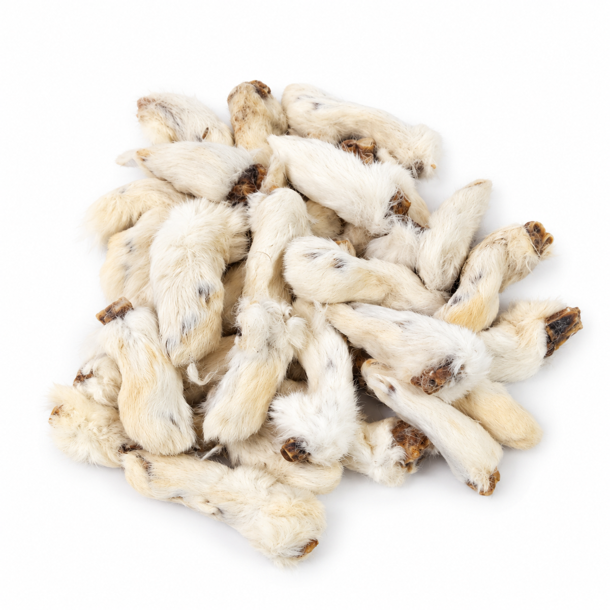 Bulk - Rabbit Feet with Fur – 30 Pack