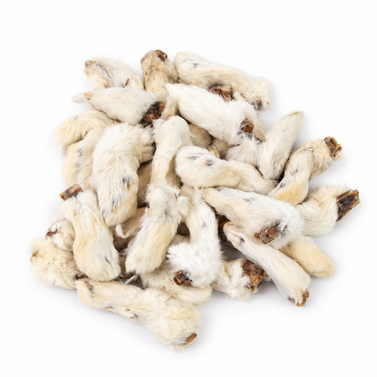 Bulk - Rabbit Feet with Fur – 30 Pack
