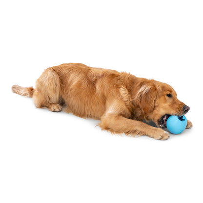 Rumbl® Puzzle Treat-Dispensing Enrichment Dog Toy - Performance Dog Supply