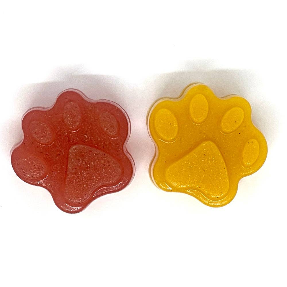 Dogtastic Silicone Mold - Paw Shape