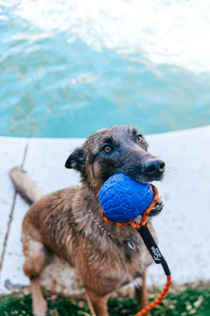 Denali Tug Toy - Mystery Tug