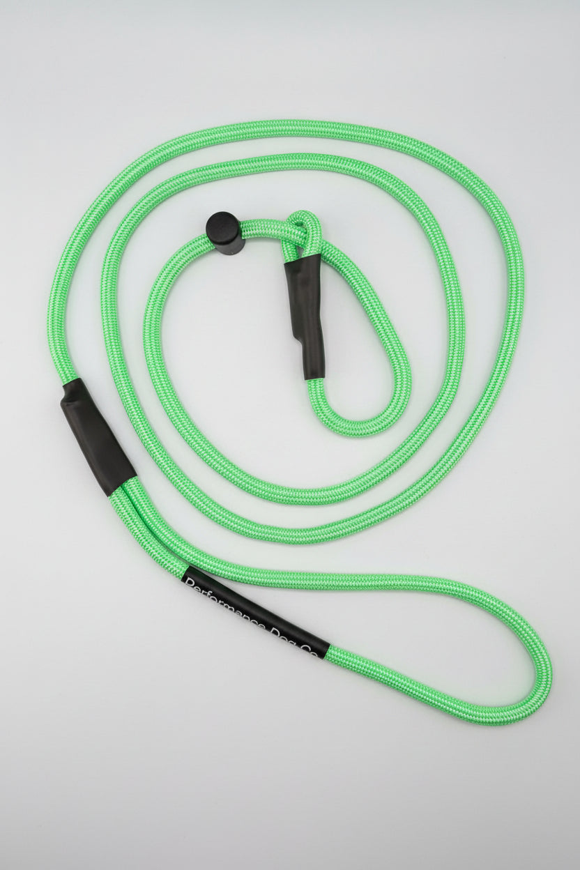 Paracord Slip Lead 5FT