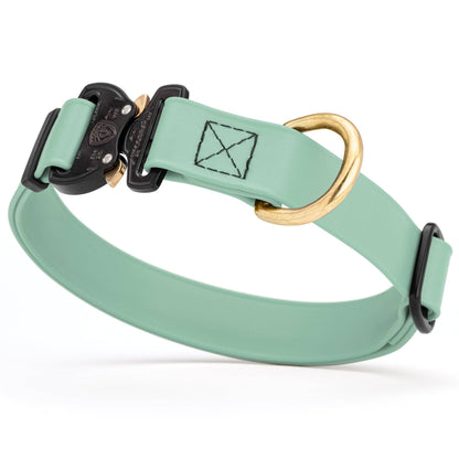 BioThane Dog Collar/Cobra Buckle
