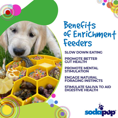Honeycomb Design eBowl Enrichment Slow Feeder Bowl for Dogs - Performance Dog Supply
