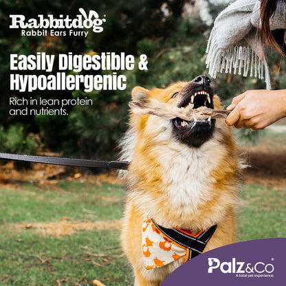 Rabbitdog Rabbit Ears (With Fur)
