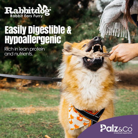 Rabbitdog Rabbit Ears (With Fur)