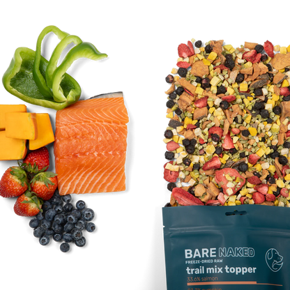 BARE Meal Mixer Trail Mix Topper