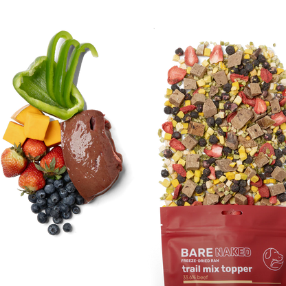 BARE Meal Mixer Trail Mix Topper