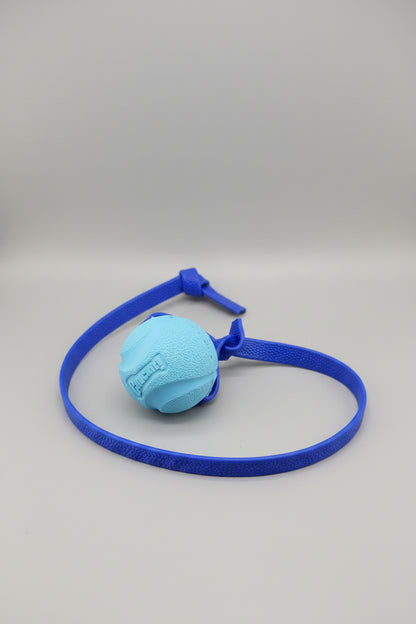Pebble Handle Tug w/ Fetch Chuck-It Ball