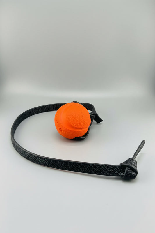Pebble Handle Tug w/ Fetch Chuck-It Ball