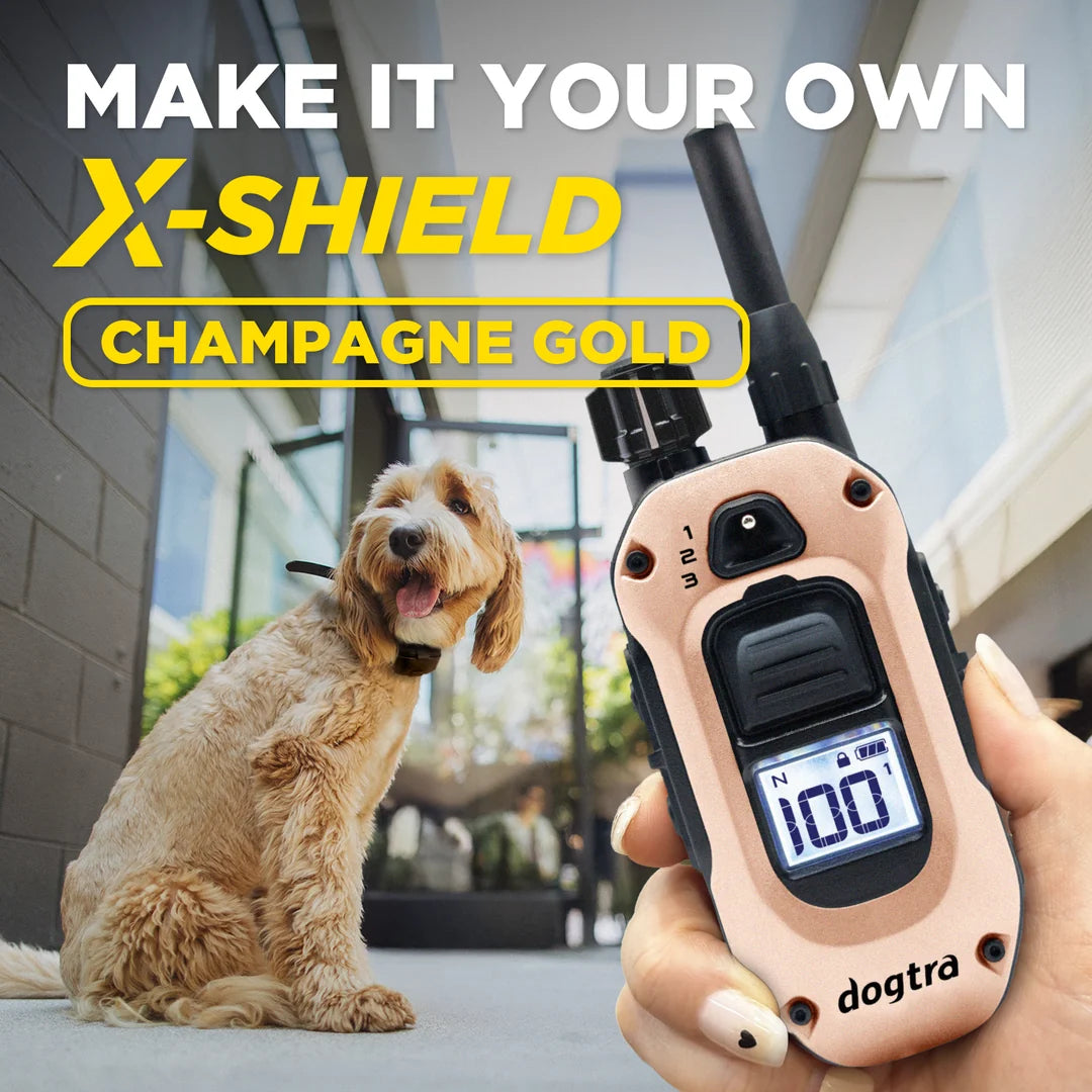 Dogtra X-SHIELD