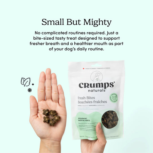 Crumps Dental Fresh Bites