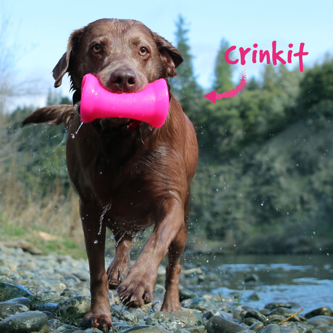 CRINKIT Water Bottle Toy