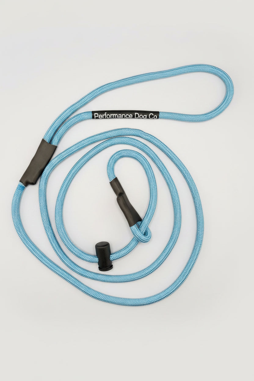 Paracord Slip Lead 5FT