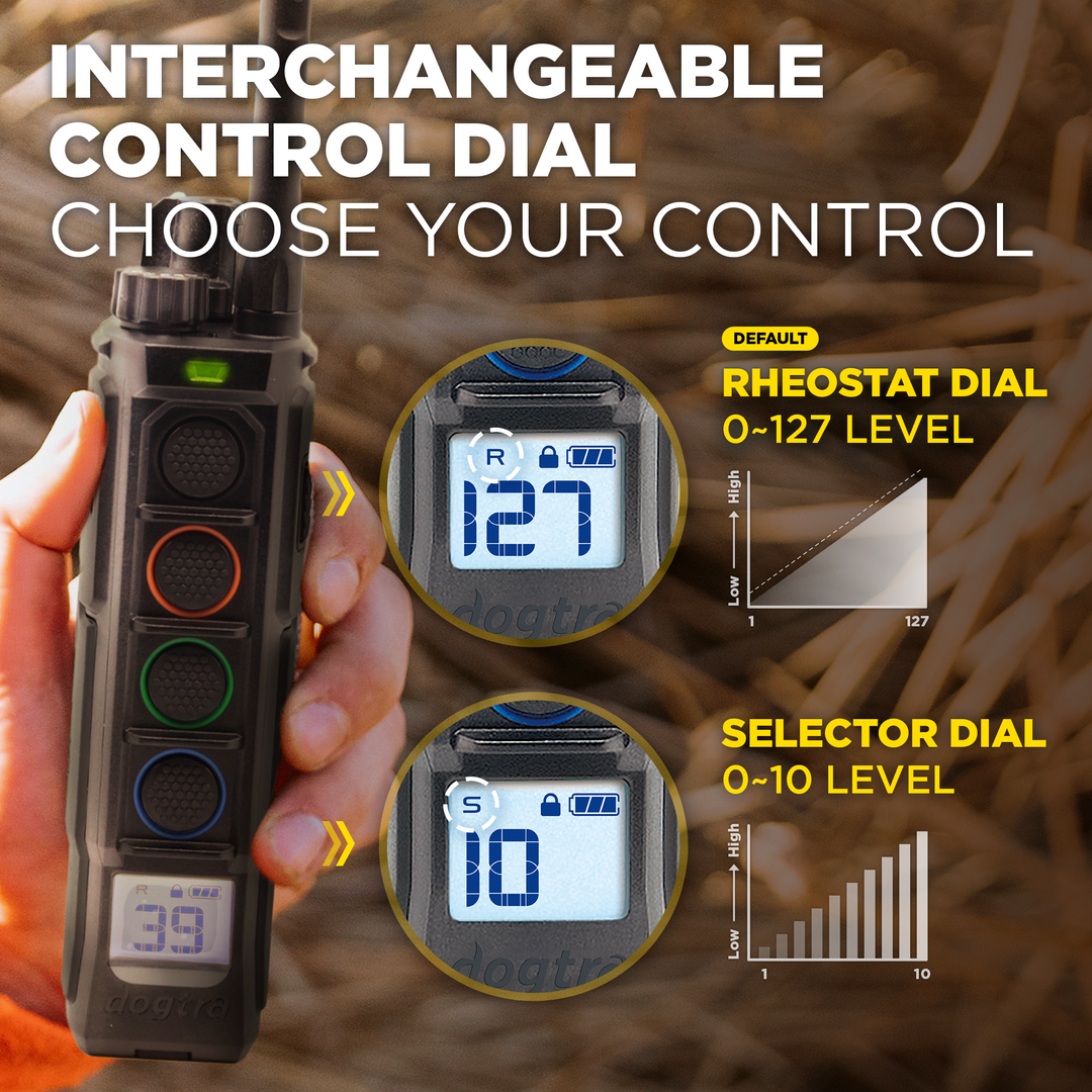 Dogtra EDGE2 1-DOG UNIT