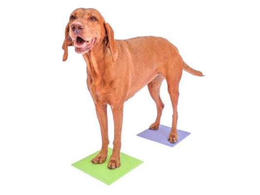 FitPaws TRAX Targets (Set of 2)