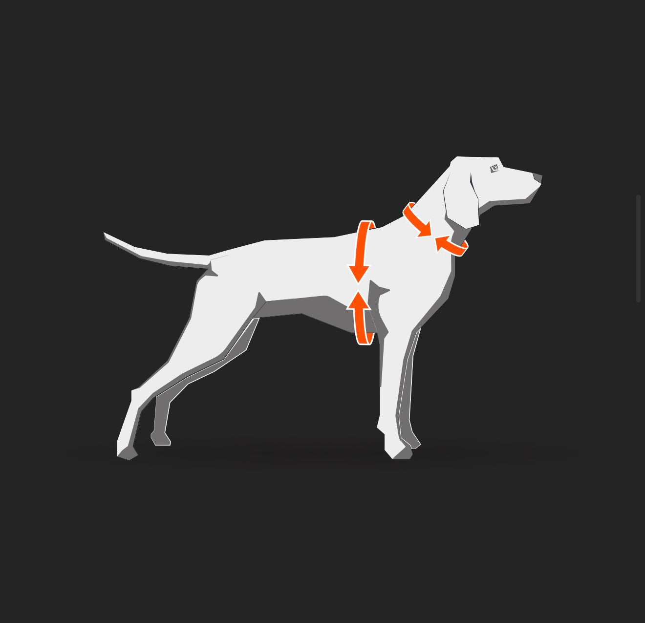 NSD Rush Harness