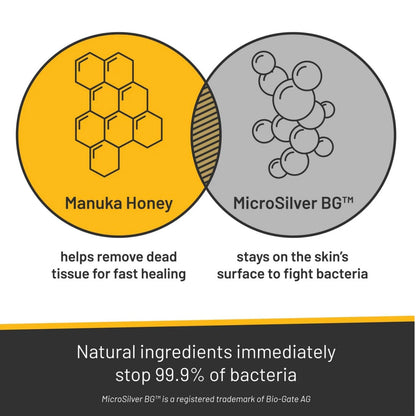 Silver Honey Rapid Skin Relief Medicated Shampoo - Performance Dog Supply