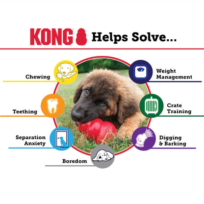 Kong Classic - Performance Dog Supply