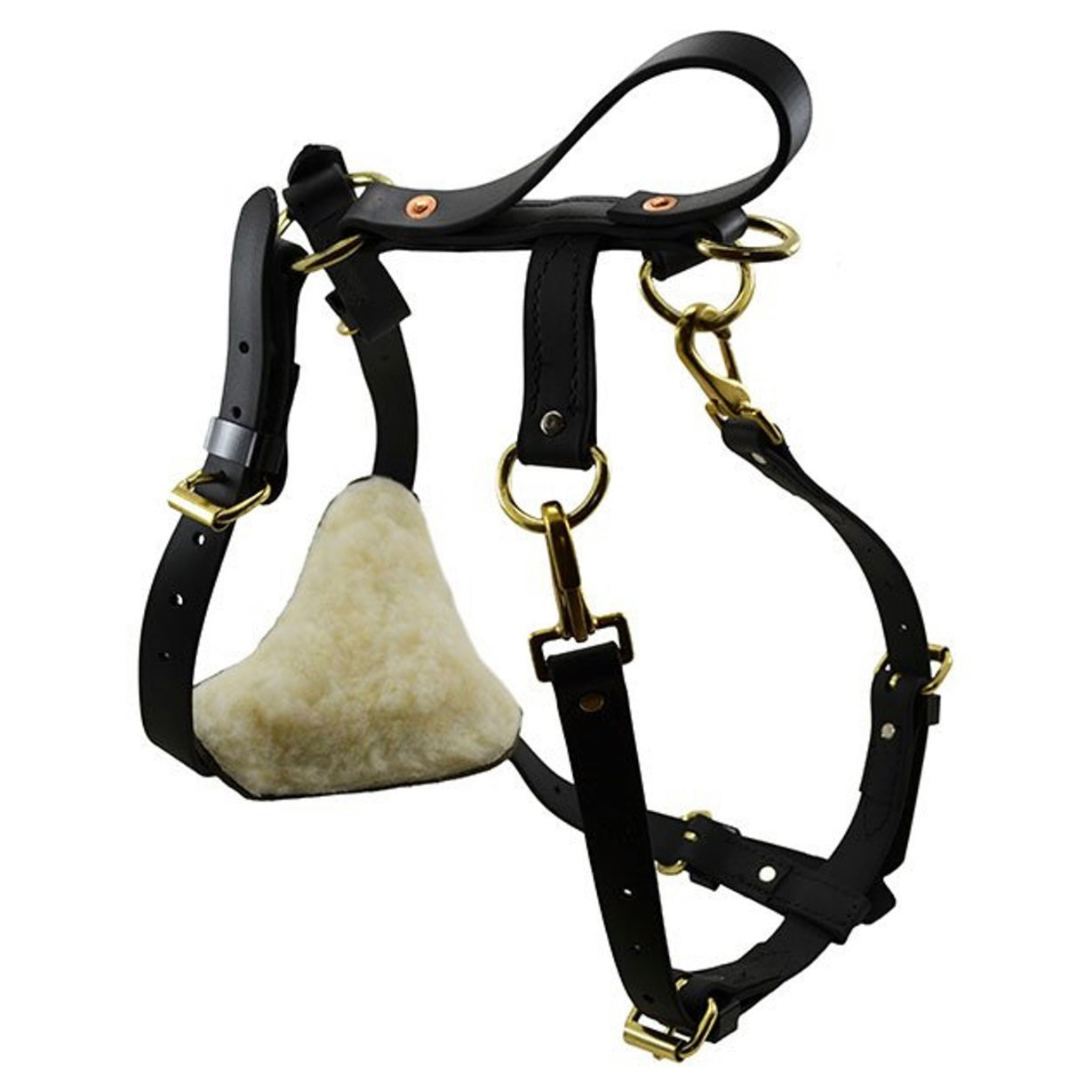 Ray Allen Biothane Multi-Function Harness