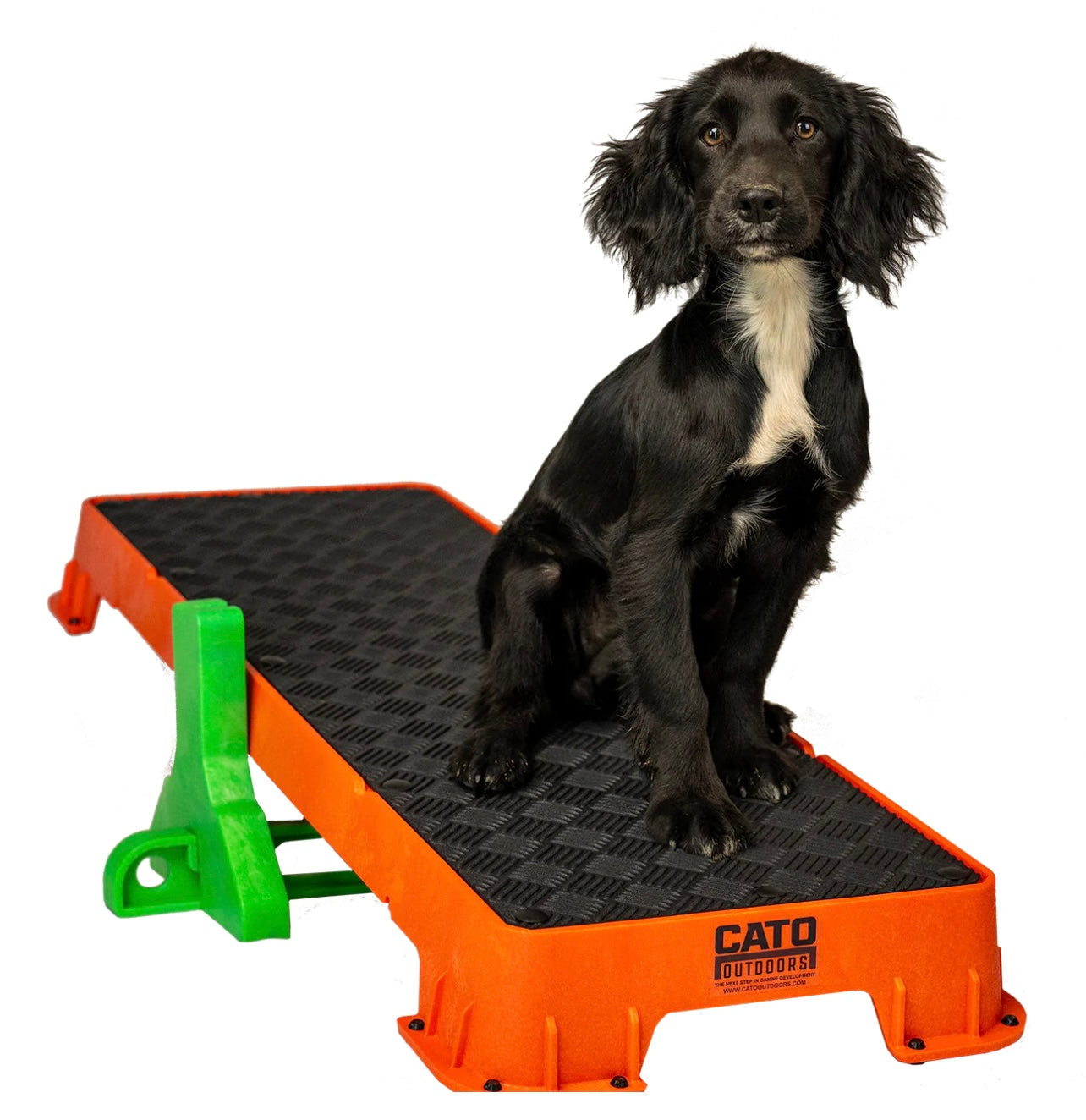 Cato Plank XL Platform (No Tilt Stand) - Performance Dog Supply