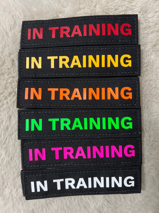 “IN TRAINING” Patch