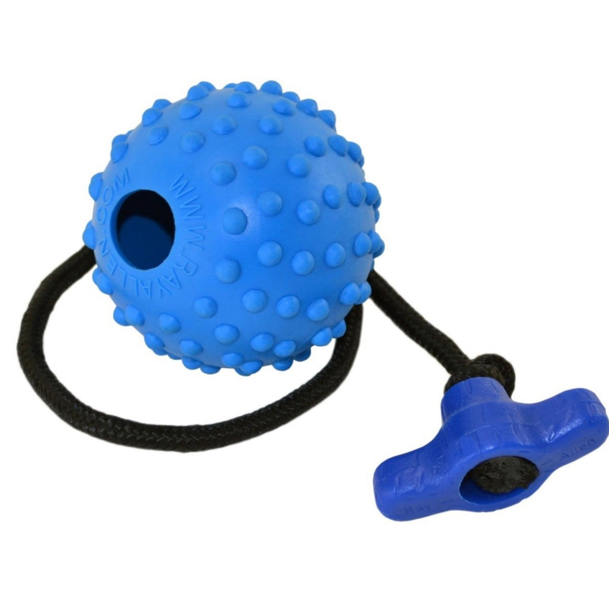 Ray Allen Reward Ball on Rope