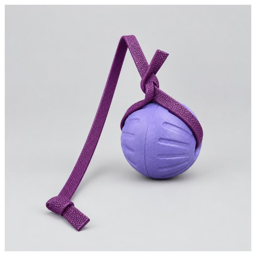 Foam Reward Ball w/ Handle