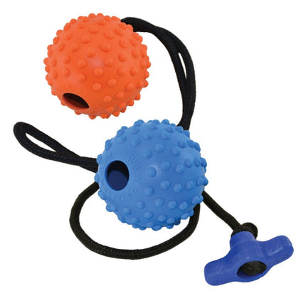 Ray Allen Reward Ball on Rope