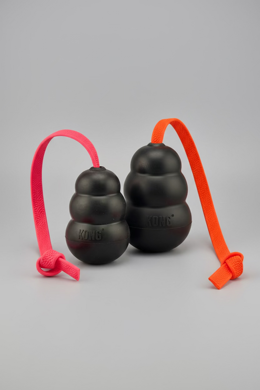 Pebble Handle Tug w/Kong