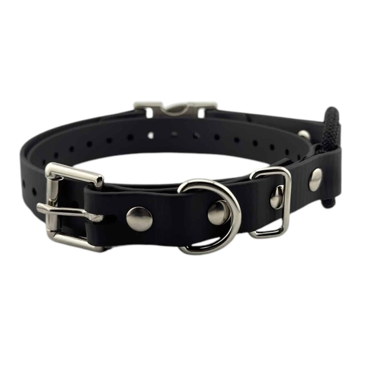 3/4” Ecollar Quick Buckle Bungee Strap